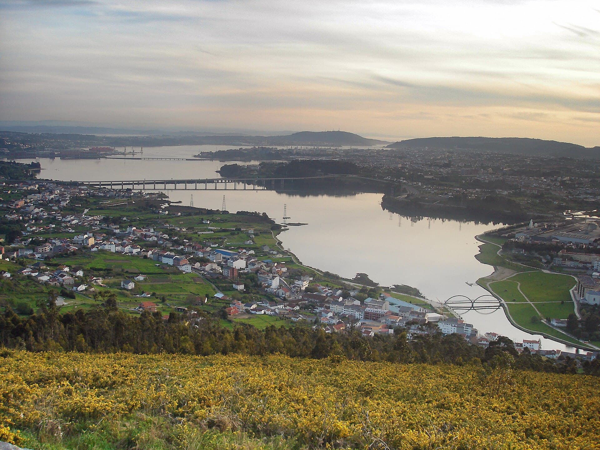 The ria of Ferrol from Coto de Ancos, with yellow gorse in the foreground and the estuary stretching toward Ferrol and Neda.